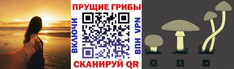 ОМГ ОМГ ссылки  Нижневартовск  Галлюциногенные грибы GOLDEN TEACHER  магазин продажи  